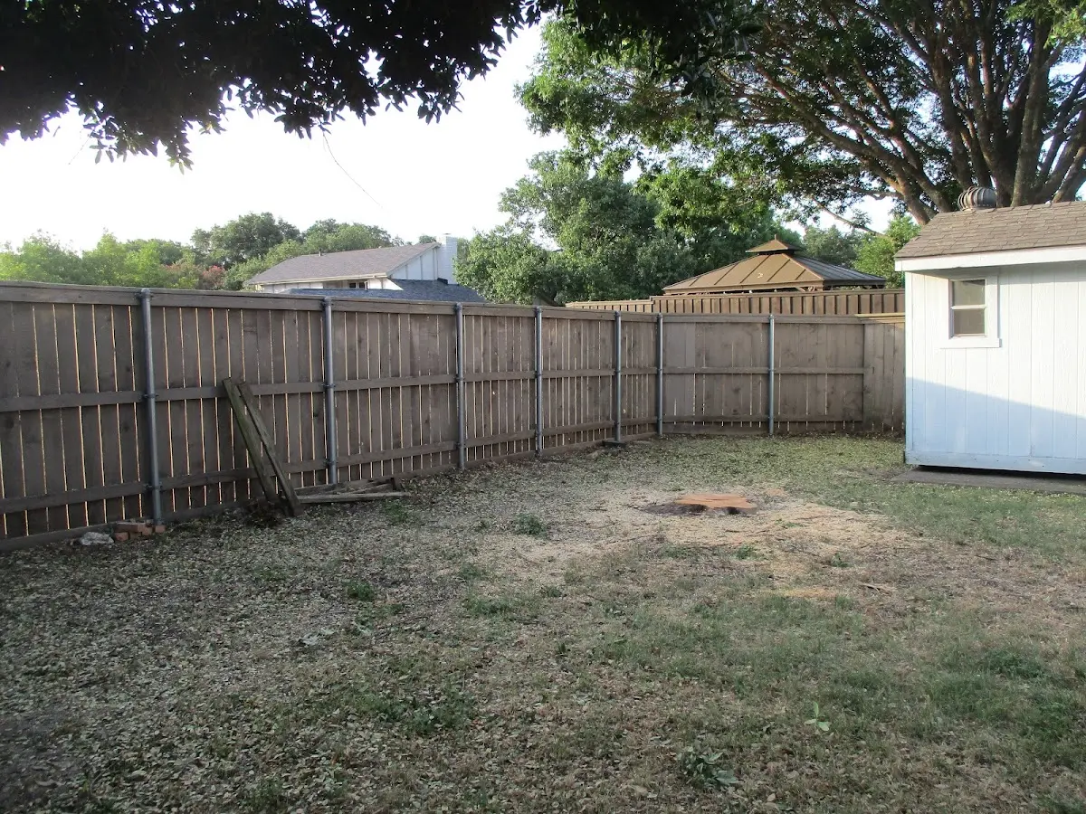Cleared yard after professional tree removal in Los Lunas